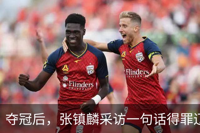 夺冠后，张镇麟采访一句话得罪辽宁，辽蜜：有本事到四川证明价值